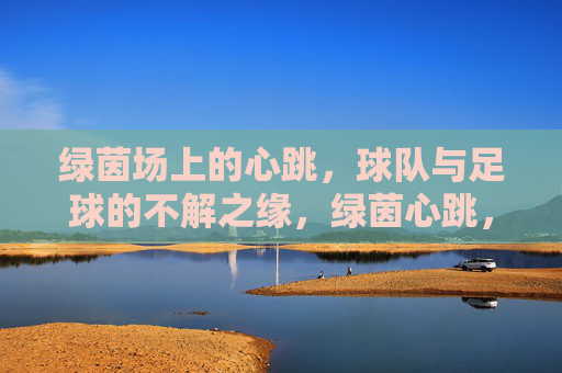 绿茵场上的心跳,球队与足球的不解之缘,绿茵心跳,球队与足球的不解之缘