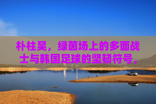 朴柱昊,绿茵场上的多面战士与韩国足球的坚韧符号,朴柱昊,韩国足球的多面战士与坚韧符号