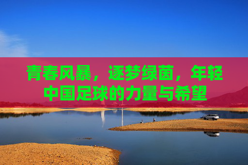 青春风暴,逐梦绿茵,年轻中国足球的力量与希望