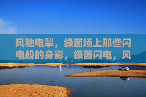 风驰电掣，绿茵场上那些闪电般的身影，绿茵闪电，风驰电掣的身影