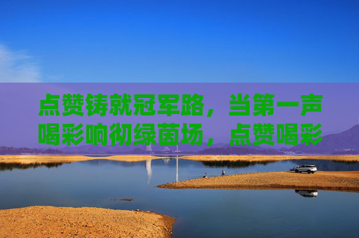点赞铸就冠军路,当第一声喝彩响彻绿茵场,点赞喝彩铺冠军路,绿茵首响耀征程
