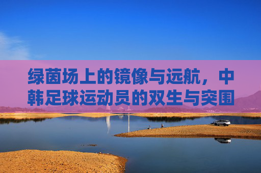 绿茵场上的镜像与远航,中韩足球运动员的双生与突围,绿茵镜像,中韩足球的双生突围