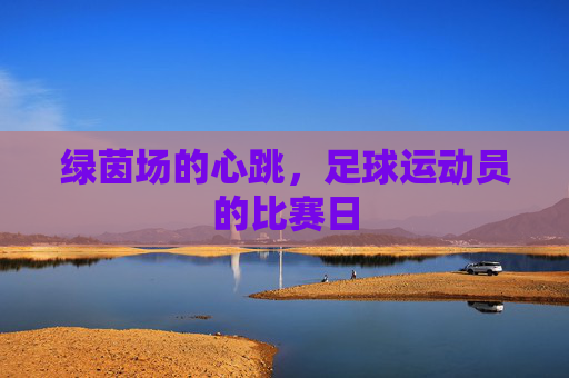 绿茵场的心跳,足球运动员的比赛日