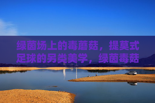 绿茵场上的毒蘑菇,提莫式足球的另类美学,绿茵毒菇,提莫式足球的另类美学