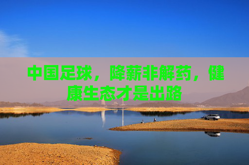 中国足球,降薪非解药,健康生态才是出路