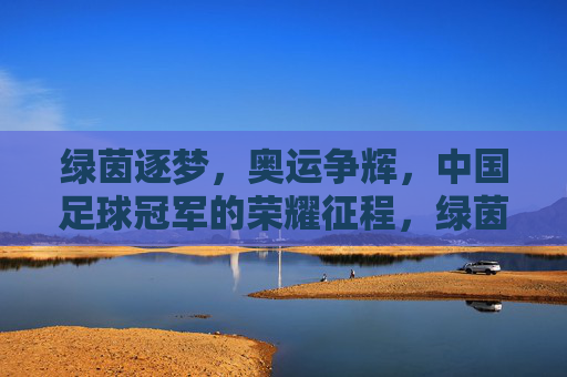 绿茵逐梦,奥运争辉,中国足球冠军的荣耀征程,绿茵逐梦奥运辉,中国足球冠军荣耀征