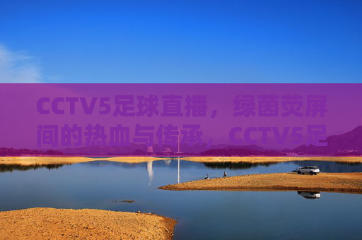 CCTV5足球直播,绿茵荧屏间的热血与传承,CCTV5足球直播,绿茵荧屏间的热血传承