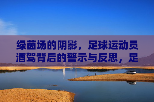 绿茵场的阴影，足球运动员酒驾背后的警示与反思，足球运动员酒驾，绿茵场阴影下的警示与反思