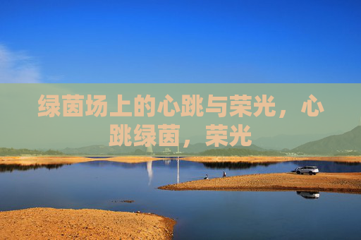 绿茵场上的心跳与荣光，心跳绿茵，荣光