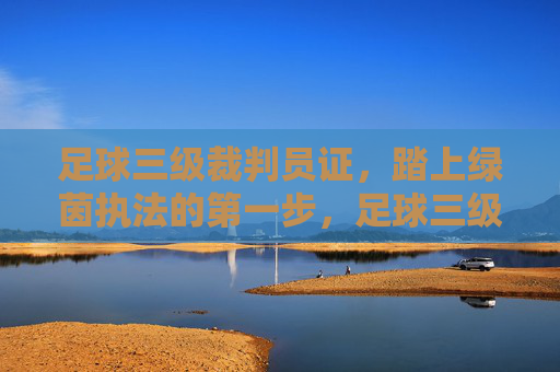 足球三级裁判员证,踏上绿茵执法的第一步,足球三级裁判员证,绿茵执法的第一步