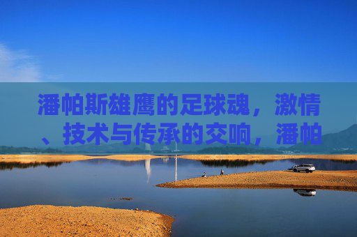 潘帕斯雄鹰的足球魂,激情、技术与传承的交响,潘帕斯雄鹰的足球魂,激情、技术与传承的交响