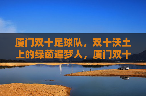 厦门双十足球队，双十沃土上的绿茵追梦人，厦门双十，绿茵沃土上的追梦人