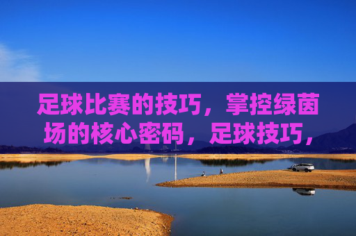 足球比赛的技巧,掌控绿茵场的核心密码,足球技巧,掌控绿茵场的核心密码