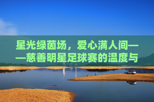 星光绿茵场,爱心满人间——慈善明星足球赛的温度与力量,星光耀绿茵,爱心暖人间
