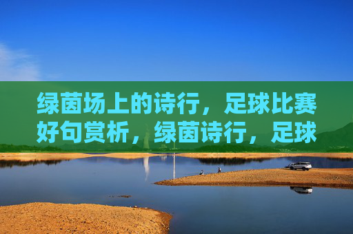 绿茵场上的诗行,足球比赛好句赏析,绿茵诗行,足球比赛好句赏析