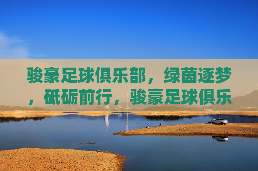 骏豪足球俱乐部,绿茵逐梦,砥砺前行,骏豪足球俱乐部,绿茵逐梦,砥砺前行