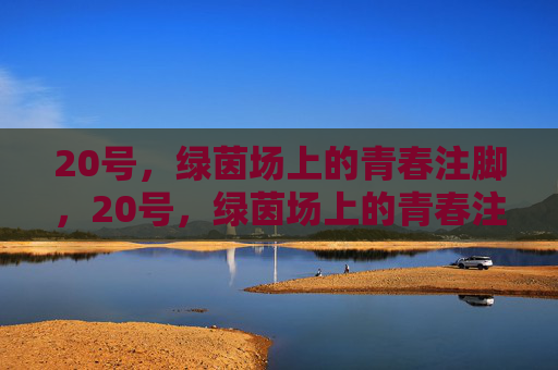 20号,绿茵场上的青春注脚,20号,绿茵场上的青春注脚