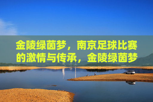 金陵绿茵梦，南京足球比赛的激情与传承，金陵绿茵梦，南京足球激情传承