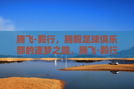 腾飞·毅行，腾毅足球俱乐部的逐梦之路，腾飞·毅行，腾毅足球俱乐部的逐梦之路