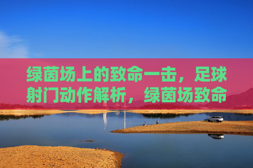绿茵场上的致命一击,足球射门动作解析,绿茵场致命一击,足球射门动作解析