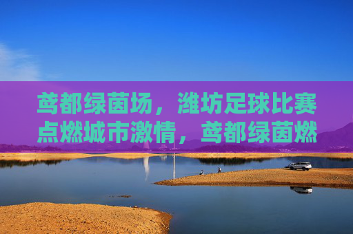 鸢都绿茵场,潍坊足球比赛点燃城市激情,鸢都绿茵燃情,潍坊足球点燃城市激情