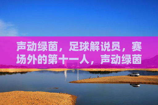声动绿茵，足球解说员，赛场外的第十一人，声动绿茵，赛场外的第十一人