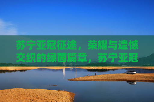 苏宁亚冠征途，荣耀与遗憾交织的绿茵篇章，苏宁亚冠征途，荣耀遗憾交织的绿茵篇章