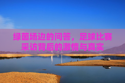 绿茵场边的问答,足球比赛采访背后的激情与真实