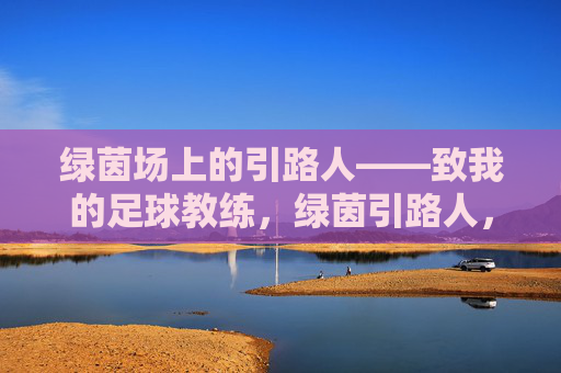 绿茵场上的引路人——致我的足球教练,绿茵引路人,致我的足球教练