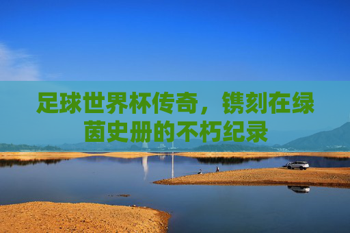 足球世界杯传奇,镌刻在绿茵史册的不朽纪录
