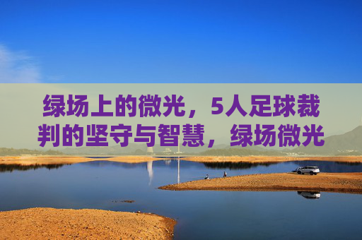 绿场上的微光,5人足球裁判的坚守与智慧,绿场微光,5人足球裁判的坚守与智慧