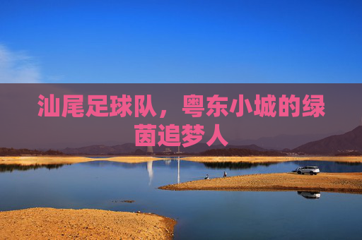 汕尾足球队,粤东小城的绿茵追梦人