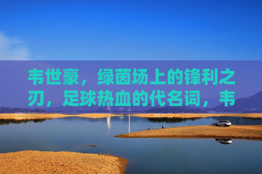 韦世豪,绿茵场上的锋利之刃,足球热血的代名词,韦世豪,绿茵锋刃,热血锋芒