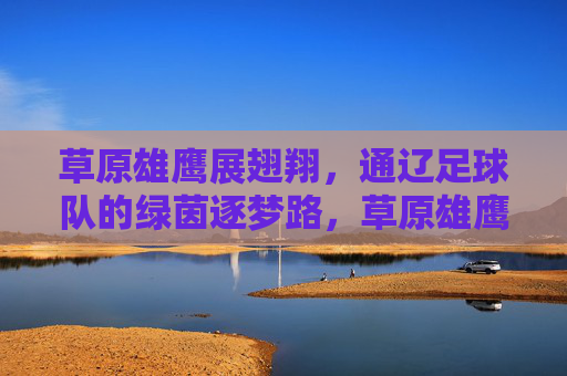 草原雄鹰展翅翔,通辽足球队的绿茵逐梦路,草原雄鹰逐梦绿茵