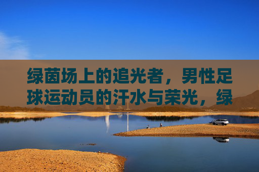 绿茵场上的追光者，男性足球运动员的汗水与荣光，绿茵追光者，汗水铸就的荣光