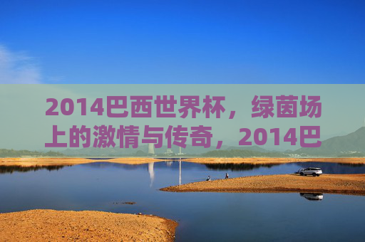 2014巴西世界杯,绿茵场上的激情与传奇,2014巴西世界杯,绿茵场上的激情与传奇
