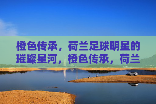橙色传承,荷兰足球明星的璀璨星河,橙色传承,荷兰足球璀璨星河