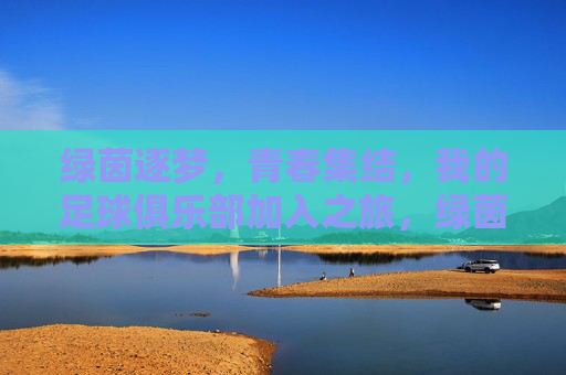 绿茵逐梦，青春集结，我的足球俱乐部加入之旅，绿茵逐梦，青春集结，我的足球加入之旅