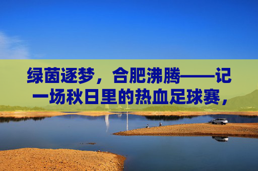 绿茵逐梦,合肥沸腾——记一场秋日里的热血足球赛,绿茵逐梦,合肥沸腾——秋日热血足球赛