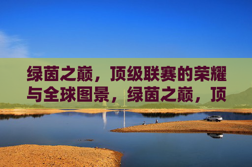 绿茵之巅,顶级联赛的荣耀与全球图景,绿茵之巅,顶级联赛的荣耀全球图景