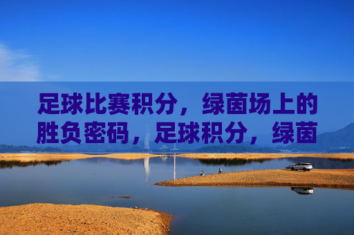 足球比赛积分,绿茵场上的胜负密码,足球积分,绿茵场上的胜负密码