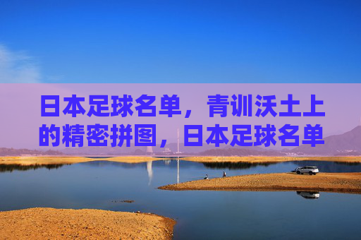 日本足球名单，青训沃土上的精密拼图，日本足球名单，青训沃土上的精密拼图