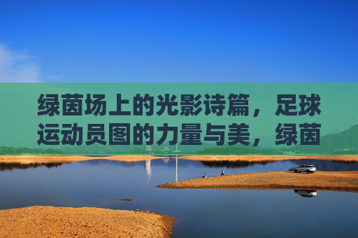 绿茵场上的光影诗篇,足球运动员图的力量与美,绿茵光影诗篇,足球运动员的力量与美