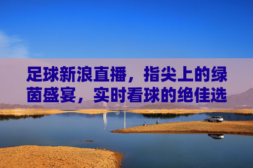 足球新浪直播,指尖上的绿茵盛宴,实时看球的绝佳选择,新浪直播,指尖上的绿茵盛宴