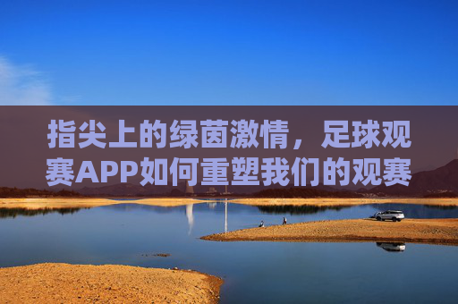 指尖上的绿茵激情,足球观赛APP如何重塑我们的观赛体验,指尖绿茵,APP重塑足球观赛新体验