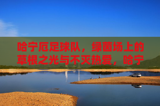 哈宁厄足球队,绿茵场上的草根之光与不灭热爱,哈宁厄足球队,草根之光与不灭的绿茵热爱