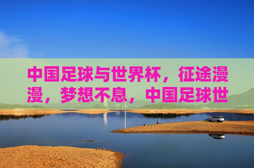 中国足球与世界杯，征途漫漫，梦想不息，中国足球世界杯，征途漫漫，梦想不息