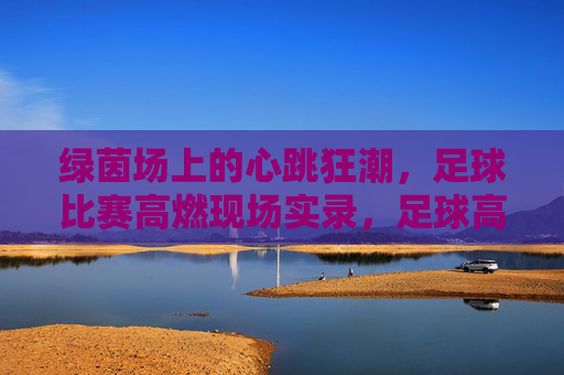 绿茵场上的心跳狂潮，足球比赛高燃现场实录，足球高燃现场，心跳狂潮实录