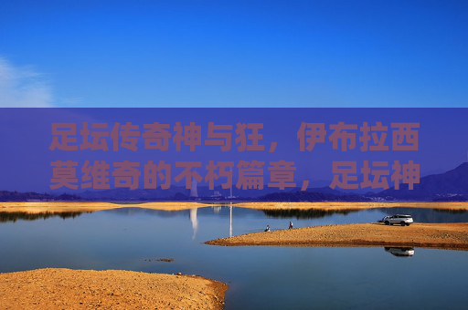 足坛传奇神与狂,伊布拉西莫维奇的不朽篇章,足坛神与狂,伊布的不朽传奇