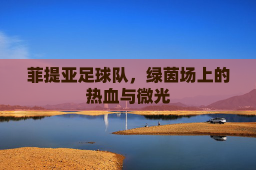 菲提亚足球队,绿茵场上的热血与微光